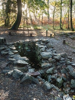 Paimpont, la fontaine de Barenton dans la forêt de Brocéliande ©Emmanuel Berthier