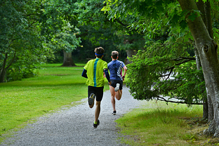 Course à pied au Parc des Gayeulles ©Franck Hamon