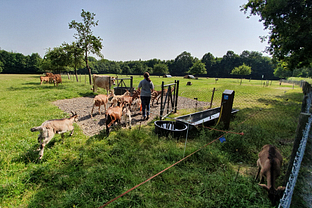 Ferme des Gayeulles, ©Arnaud Loubry