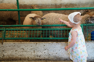 Ferme des Gayeulles, ©Arnaud Loubry