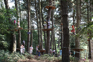 Le parc d’accrobranche Forêt Adrénaline ©D.Gouray