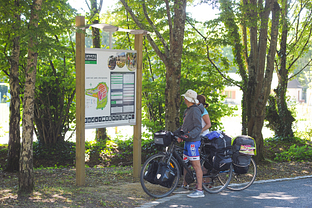 Camping des Gayeulles, plan du camping