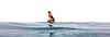 surf Biscarrosse dans les Landes