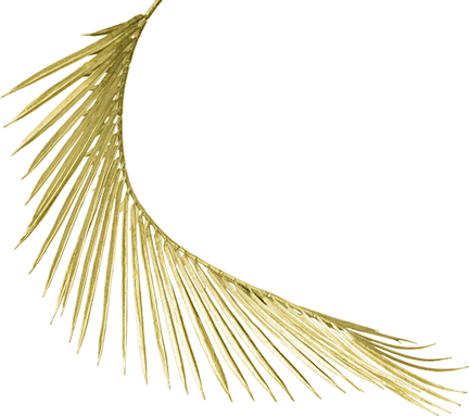 deco