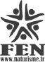 FEN