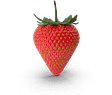 Erdbeere