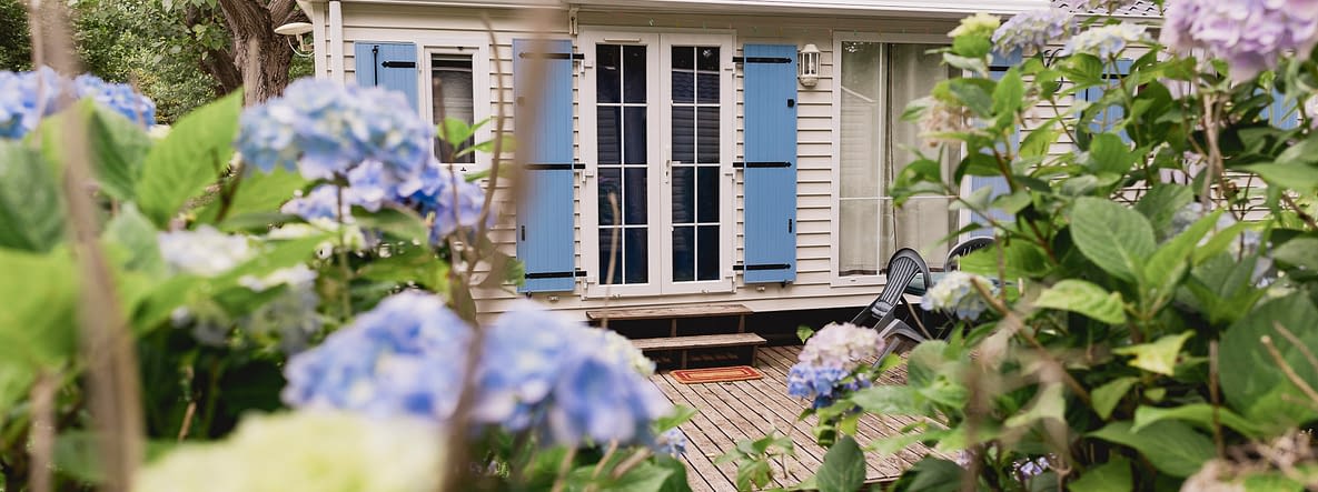 Camping Zelaia - Vista de los senderos floridos del camping