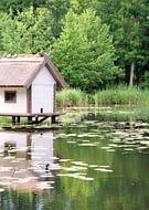 Destination Gironde - Réserve ornithologique du Teich