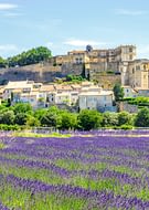 Destination Provence - Gordes et les champs de lavande