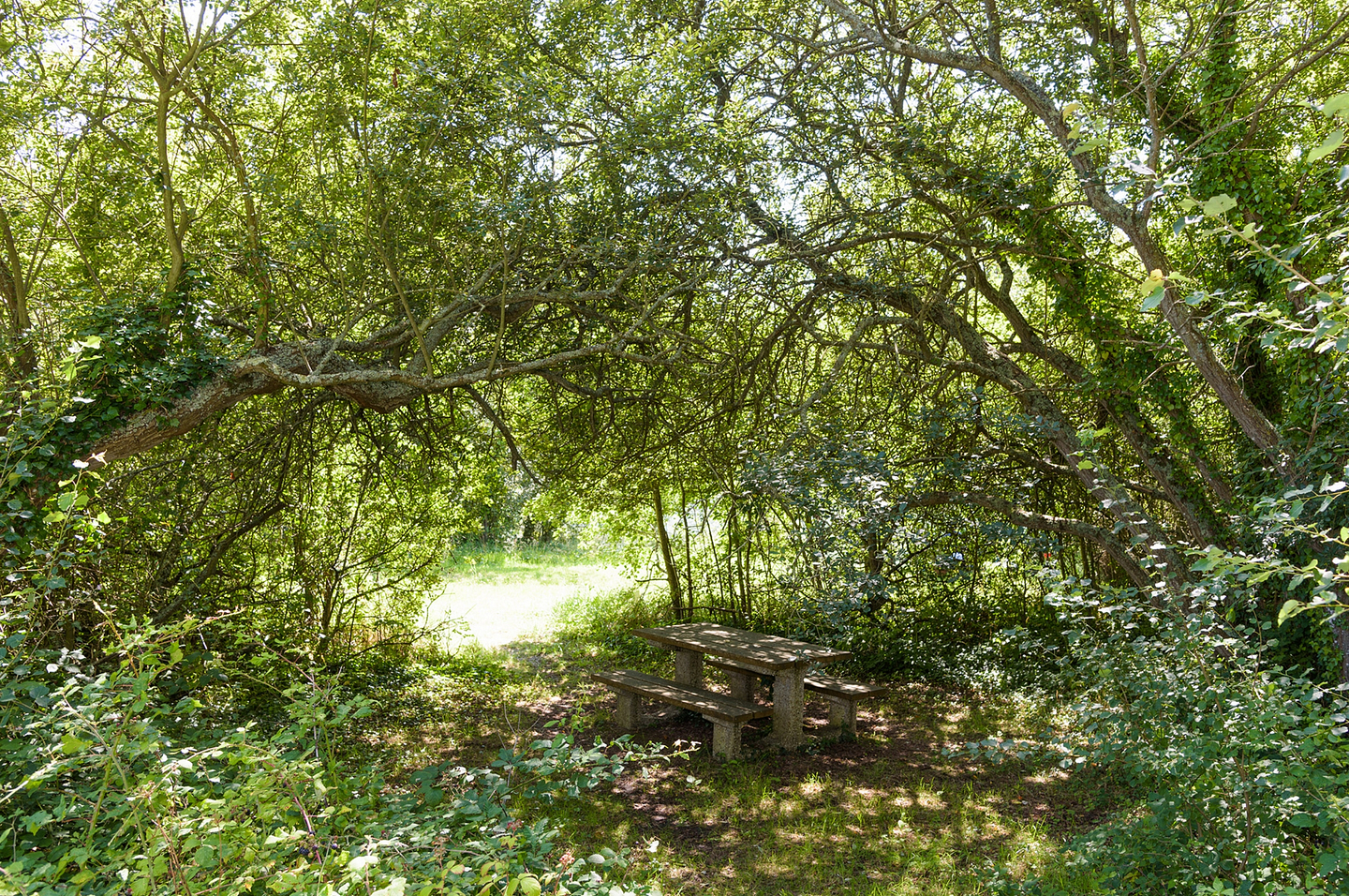 Pique-nique au Domaine de Mesqueau ©Yann Richard