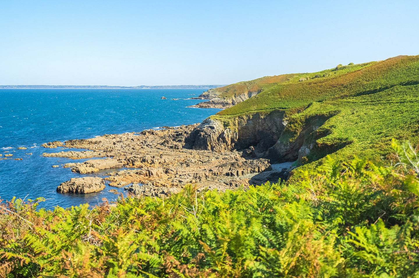 Côte sauvage et sentier côtier à Saint Jean du Doigt ©PORIEL Thibault / SB