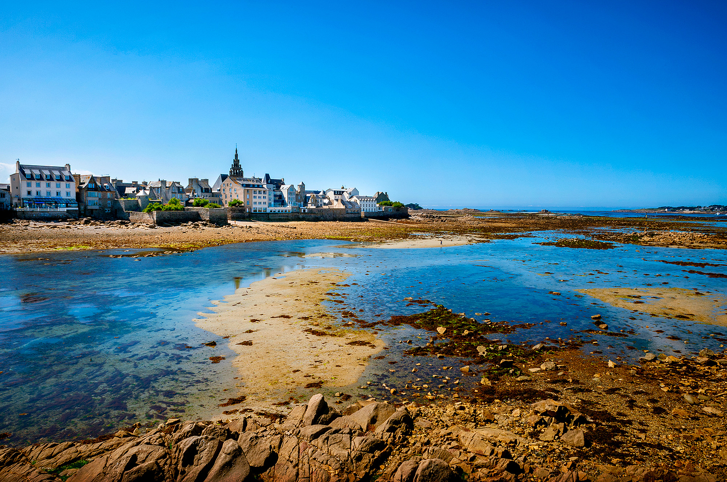 Marée basse à Roscoff