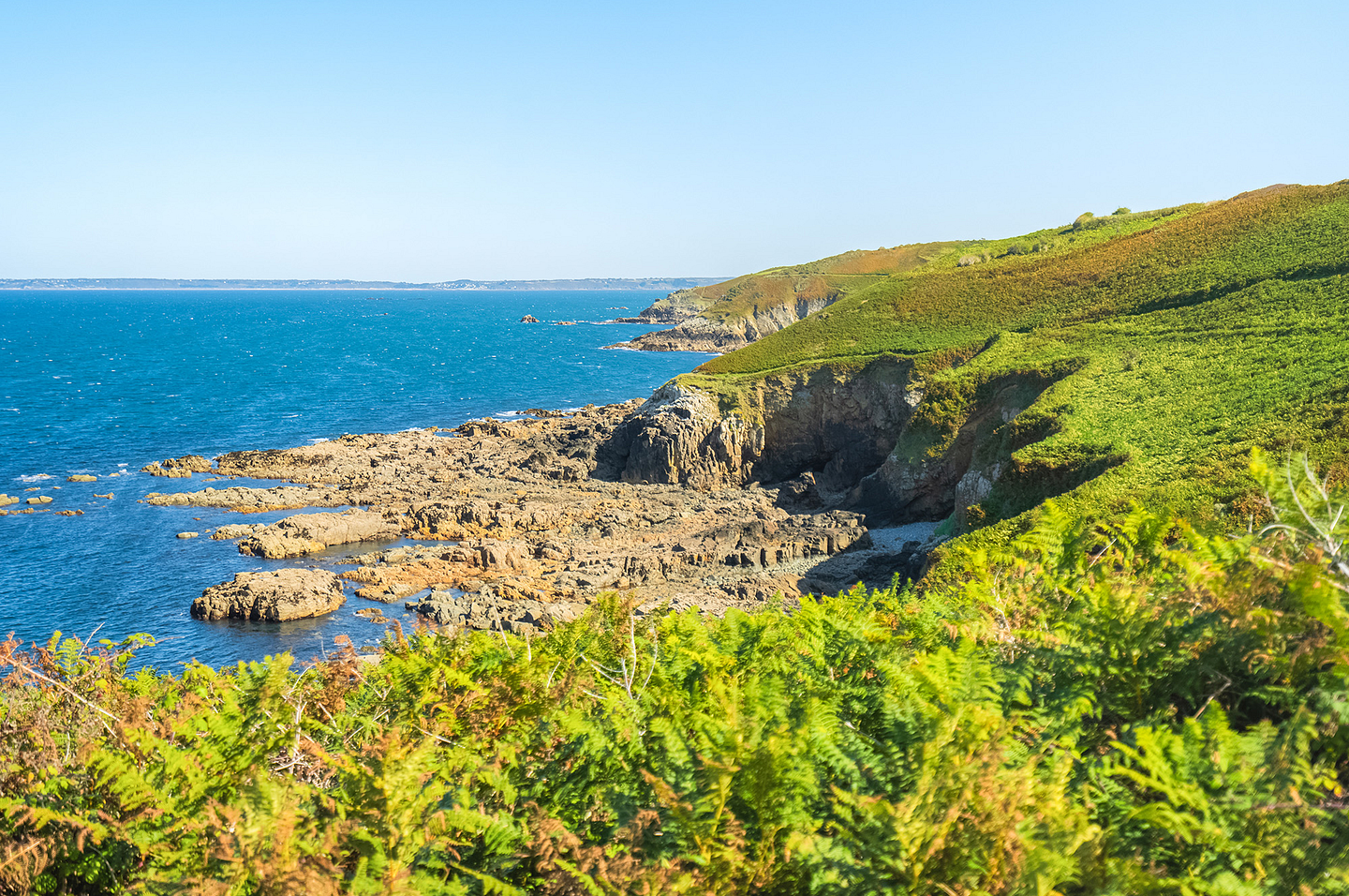 Côte sauvage et sentier côtier à Saint Jean du Doigt ©PORIEL Thibault / SB