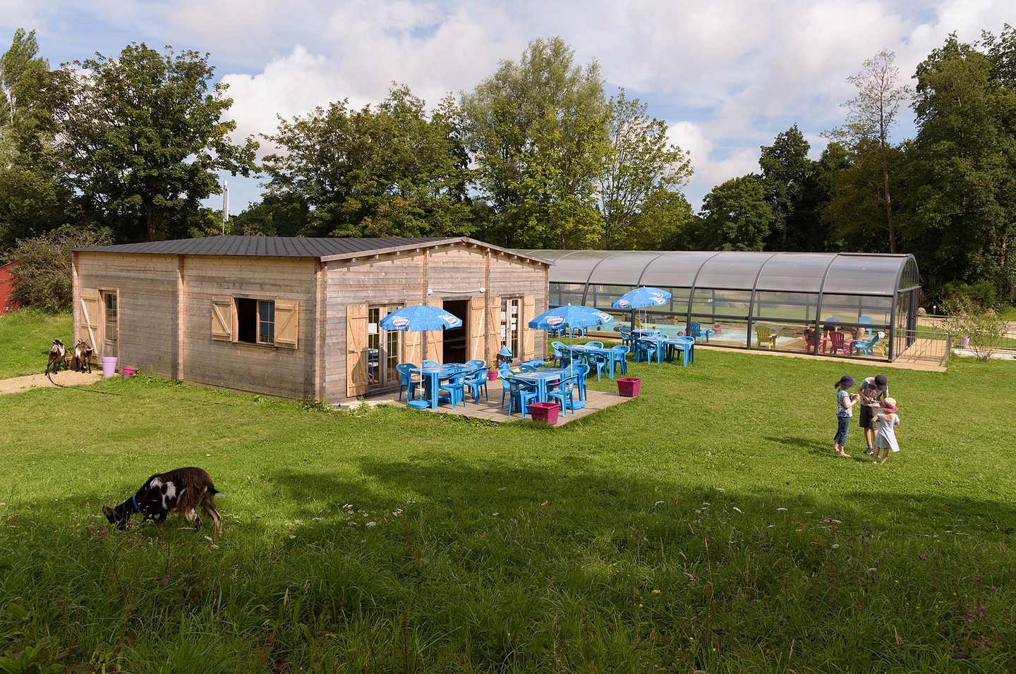 Summer sunshine, swimming pool and goats on the Domaine de Mesqueau campsite
