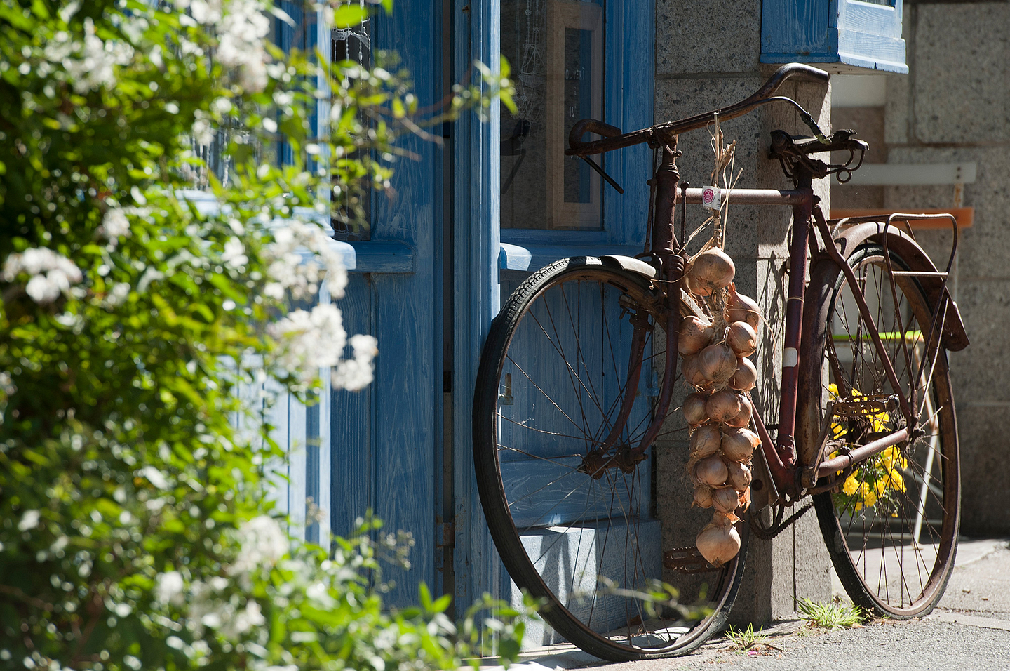 vieux vélo dans Roscoff ©BERTHIER Emmanuel