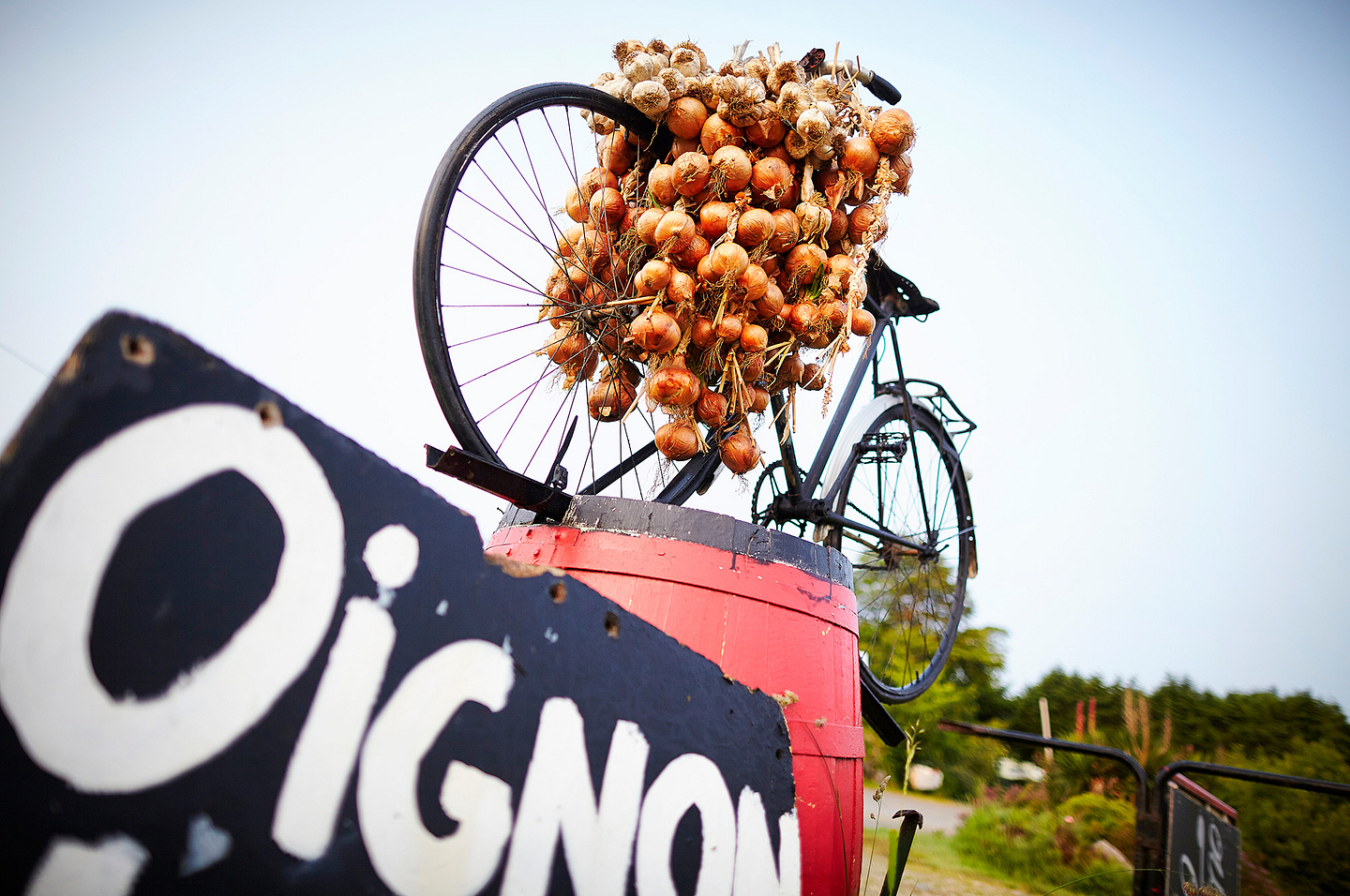 des oignons sur un vélo à Roscoff ©LAMOUREUX Alexandre