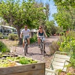 Camping Beauregard Plage - Rustige, bosrijke camping