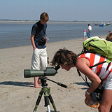 Groep vakantiegangers kijken met een verrekijker naar de vogels op het strand ©Somme Tourisme