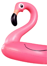 Camping Californie Plage - L\'espace aquatique - Bou&eacute;e Flamand rose