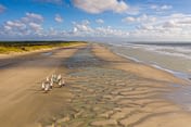 Domaine de Drancourt - Baie de Somme - Les chars-à-voile sur la plage de Quend