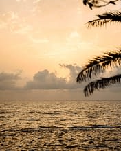 Domaine de Bagheera, Beach, view across the sea, sunset