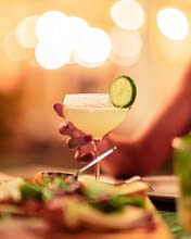 Domaine de Bagheera: Restaurant, Cocktails