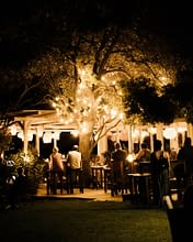 Domaine de Bagheera, Abendprogramm, Konzert