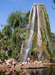 Les Couleurs de la Coubre - Charente-Maritime - L\'Ile au flamand rose - Zoo de la Palmyre