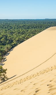 Destino Aquitaine - Vista de la Duna de Pilat y del bosque de pinos