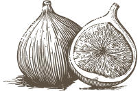 Domaine de Bagheera: Feige