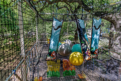 Camping Le Bois de Valmarie - Espace aquatique - Vue des deux bassins et des transats