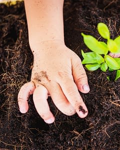 Domaine de Bagheera, Activités pour les enfants en lien avec l'écologie