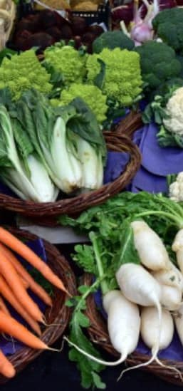 Les march&eacute;s de Vias