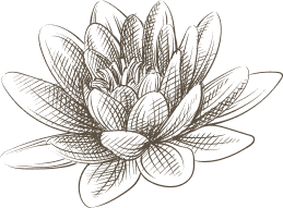 Domaine de Bagheera: Lotus