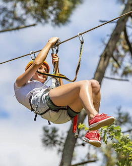 Manoir de Kerlut - Adventure activities - Tree-top adventure