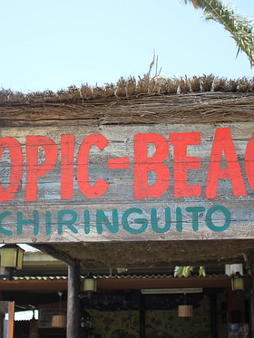 Camping Amfora - Bares y restaurantes - El Tropic Beach 