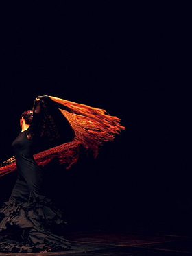 Amfora campsite - Evening show - Flamenco show