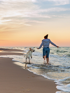 Campingplatz Amfora - Dienstleistungen und Geschäfte - Hunde sind auf dem Campingplatz erlaubt