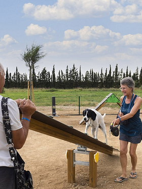 Camping Amfora - Services et commerces - Parcours canin