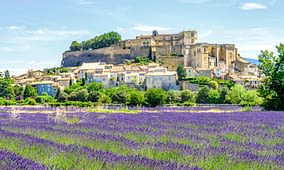 Destination Provence - Gordes et les champs de lavandes
