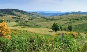 Destination Languedoc Roussillon - Mont Aigoual massif