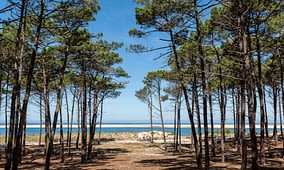 France 4 Naturisme - Nuestra historia - Pinares y vista al mar