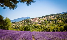 France 4 Naturisme - Our story - Village of Gordes and lavender fields