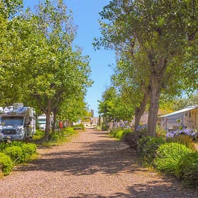 Beauregard Plage Campsite - Confort XXL Pitch - Pitches alleyway