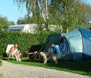 Camping Le Ridin Le Crotoy , emplacement, tente, couple