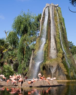 Les Couleurs de la Coubre - Charente-Maritime - L\'Ile au flamand rose - Zoo de la Palmyre