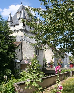 Le Parc du Val de Loire - Loir et Cher - Château de Loches Citée Royale de Loches Indre et Loire