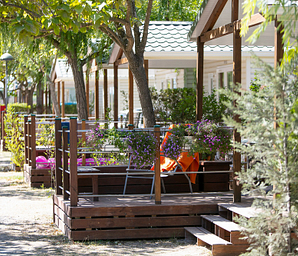 Amfora campsite - The campsite - Tree-lined paths 