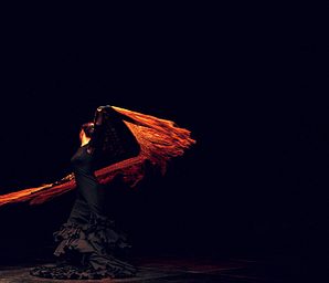 Camping Amfora - Soirée spectacle - Spectacle de Flamenco