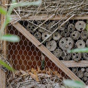 Camping Beauregard Plage - Onze verbintenissen - Insectenkast